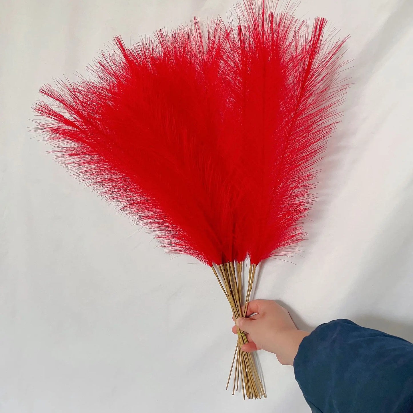 Boho Pampas Grass – 10 Piece Fluffy Reed Stems for Vases, Home Styling & Events