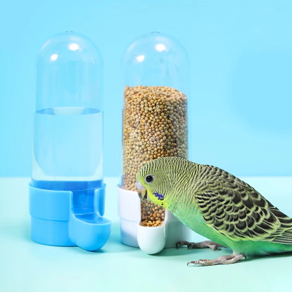 Paradise Bird feeder