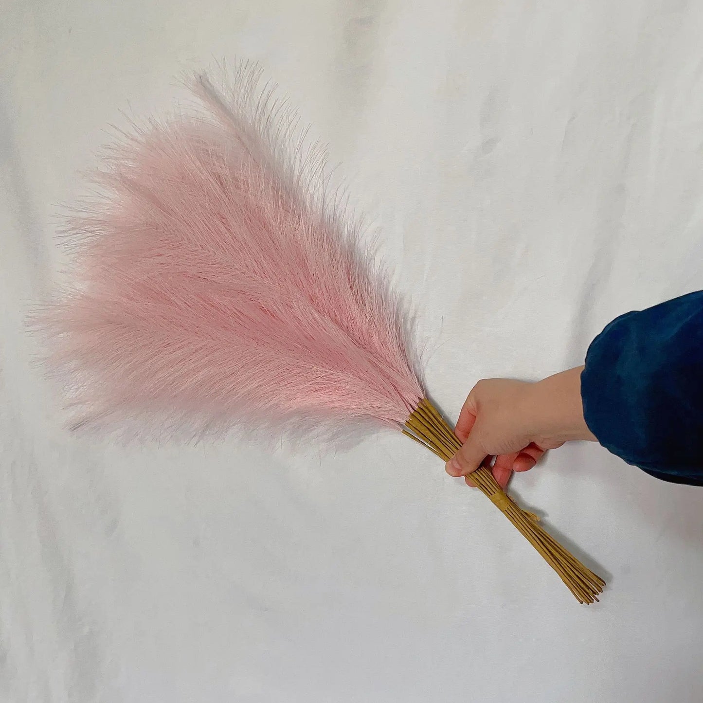 Boho Pampas Grass – 10 Piece Fluffy Reed Stems for Vases, Home Styling & Events