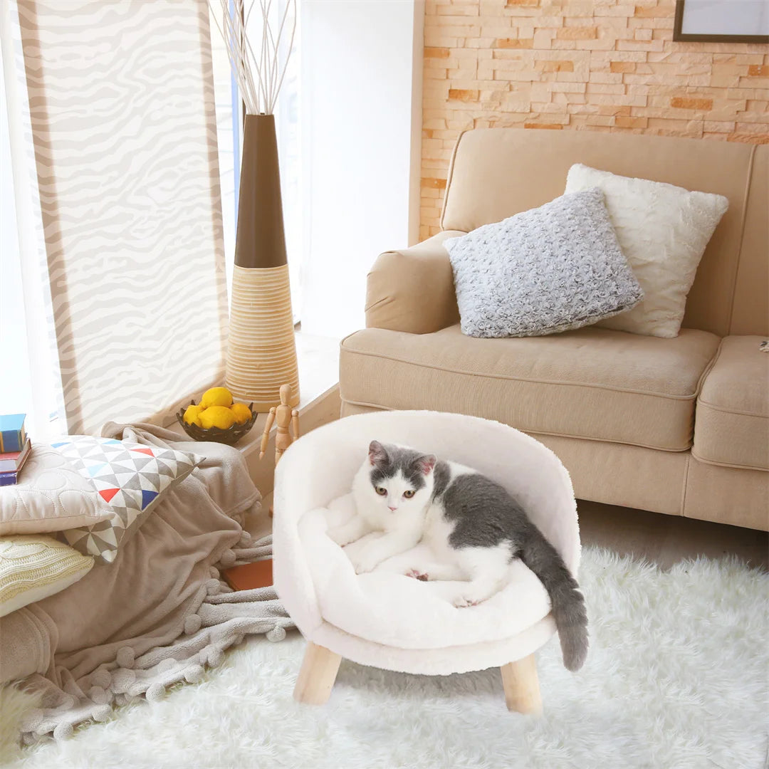 Modern Pet Sofa Bed, Stylish