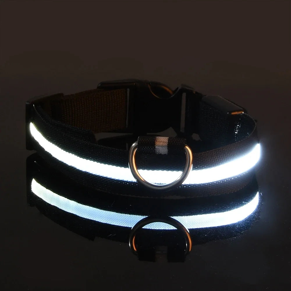 LED Glow-in-the-Dark Pet Collar