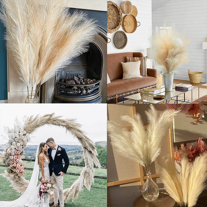 Boho Pampas Grass Bundle – 9 Piece Set of 100cm Fluffy Dried Stems for Home & Wedding Decor