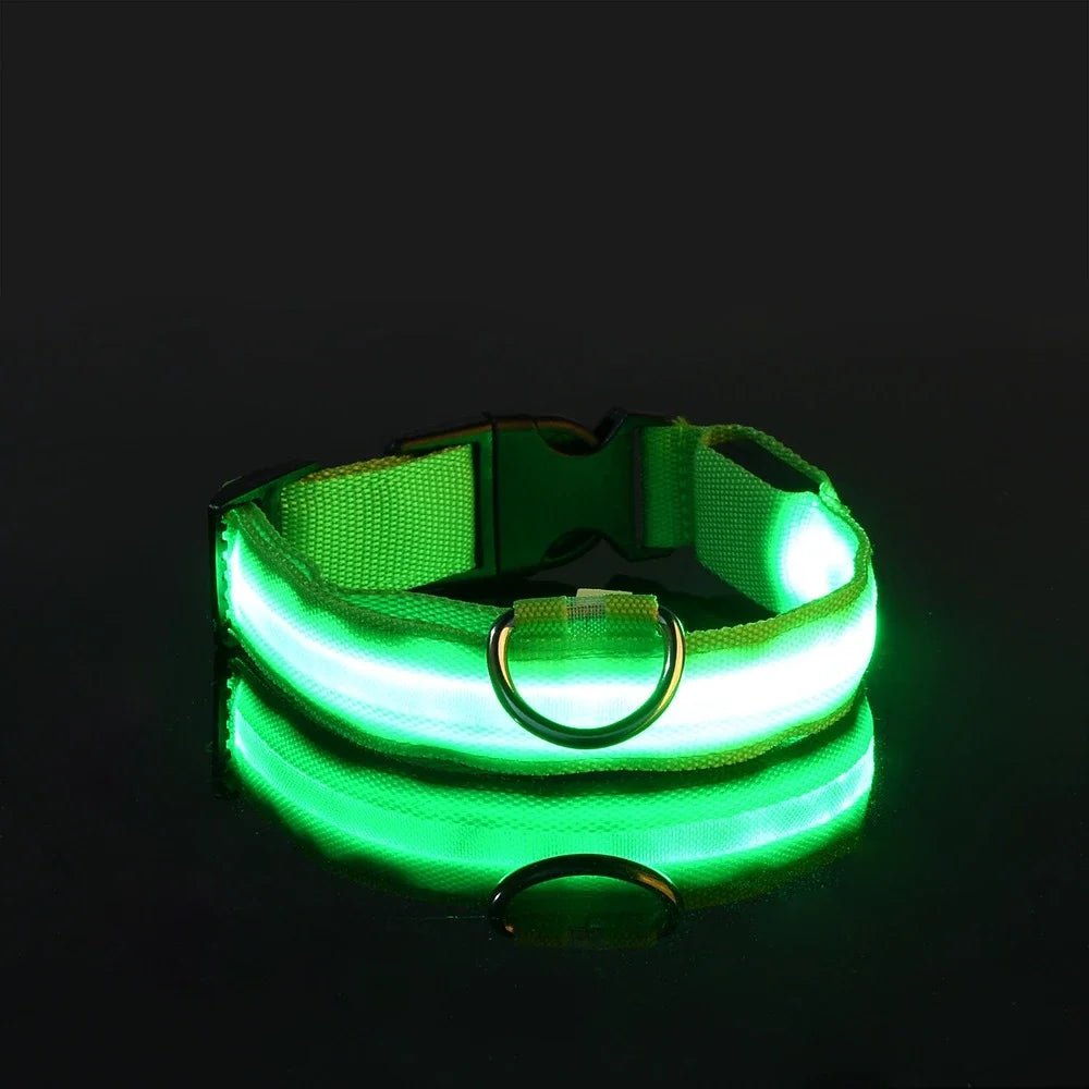 LED Glow-in-the-Dark Pet Collar