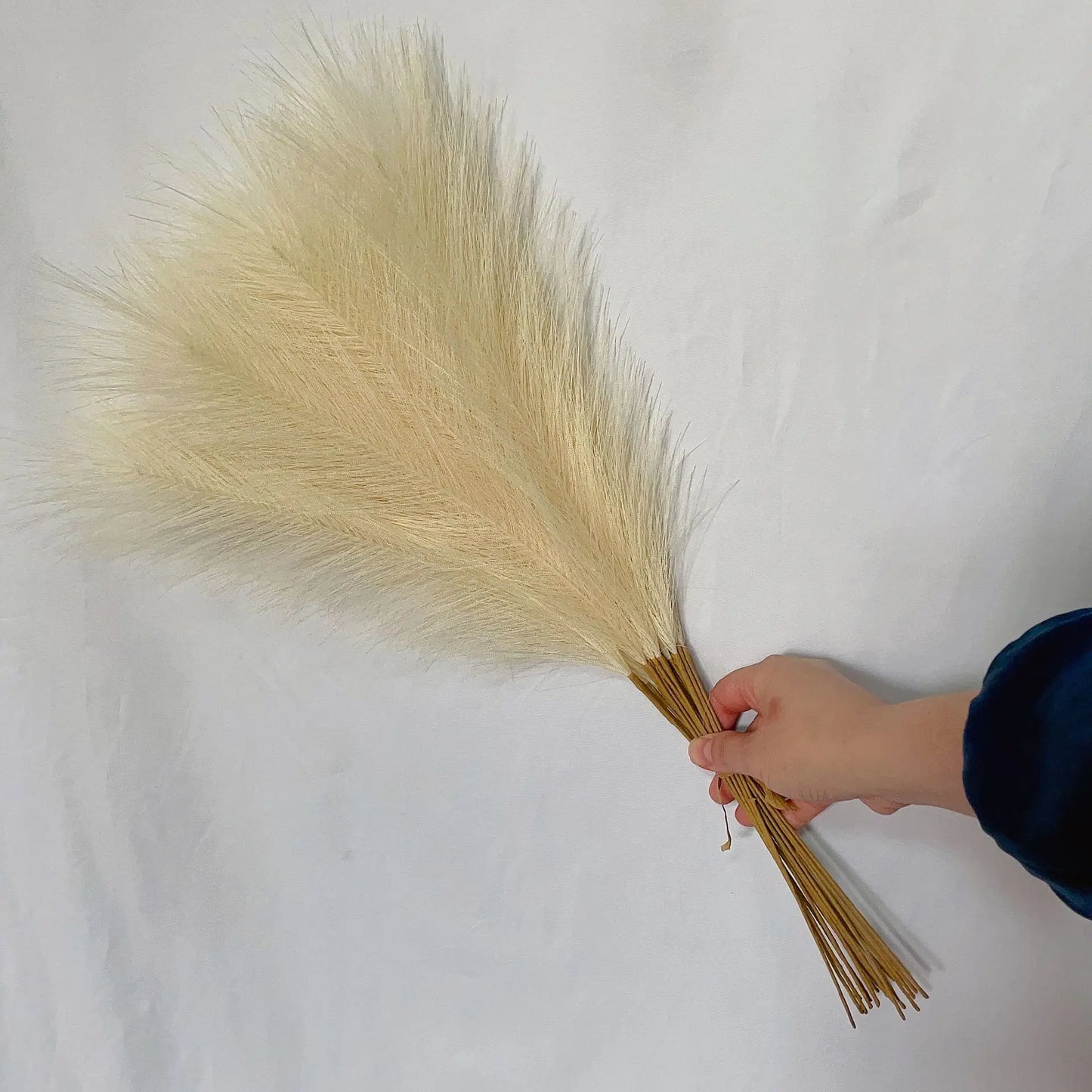Boho Pampas Grass – 10 Piece Fluffy Reed Stems for Vases, Home Styling & Events