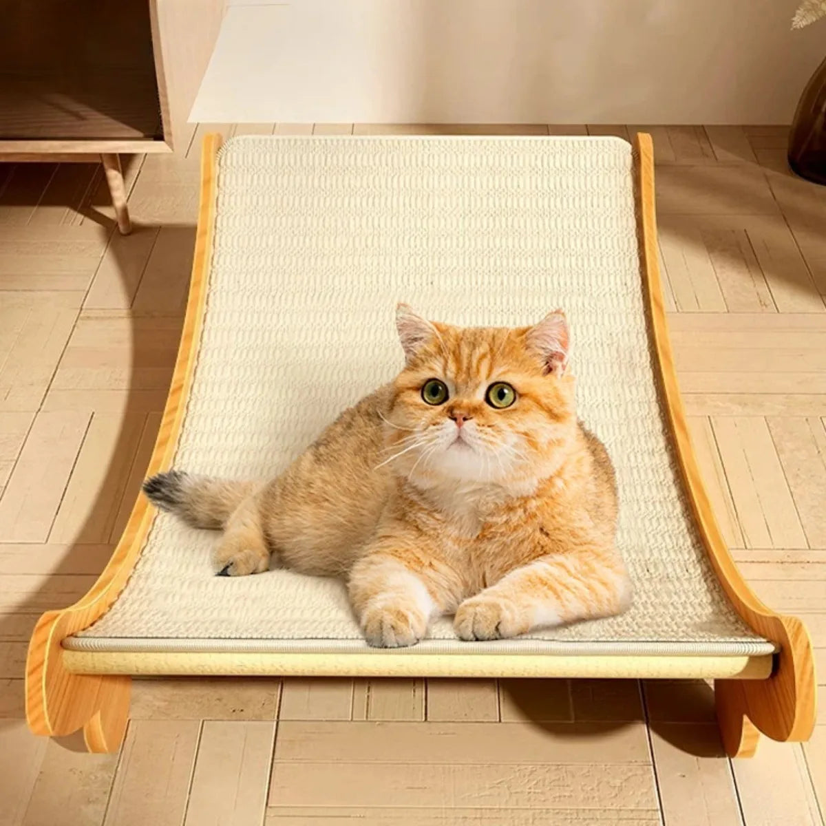 Wooden Cat Bed & Scratcher