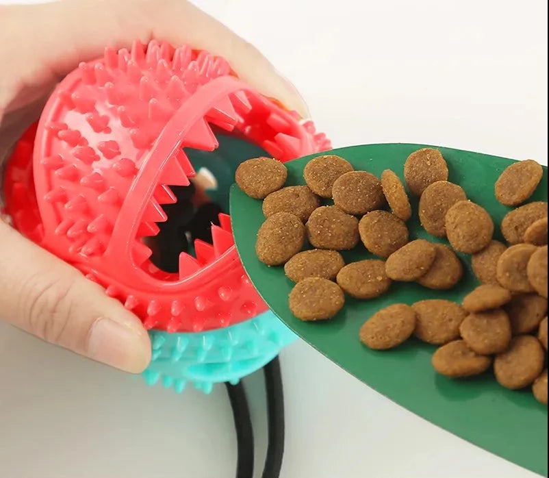 Dog Ball Toy Feeder