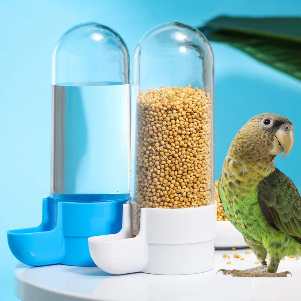 Paradise Bird feeder