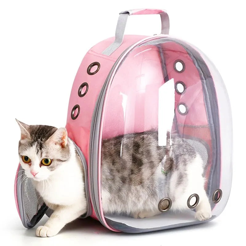 Cat capsule bag hotsell