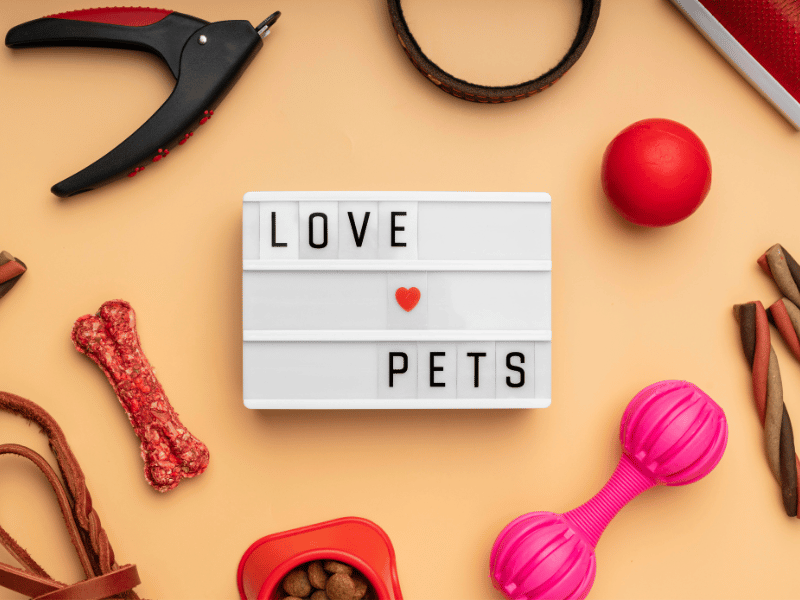 Giftology London | Fashion, Home , Pets , Beauty, Gadgets & More