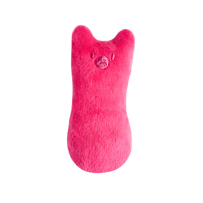 Cat Chew Toy