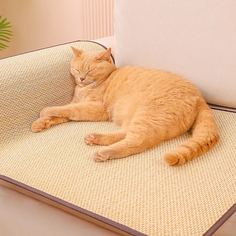 Cat Scratching Mat