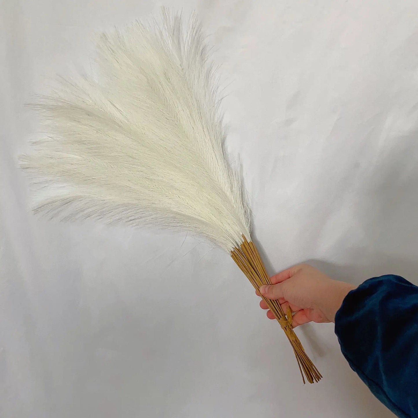 Boho Pampas Grass – 10 Piece Fluffy Reed Stems for Vases, Home Styling & Events