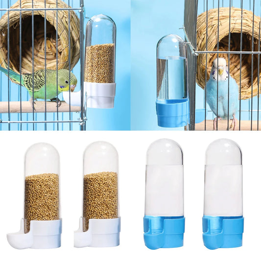 Paradise Bird feeder