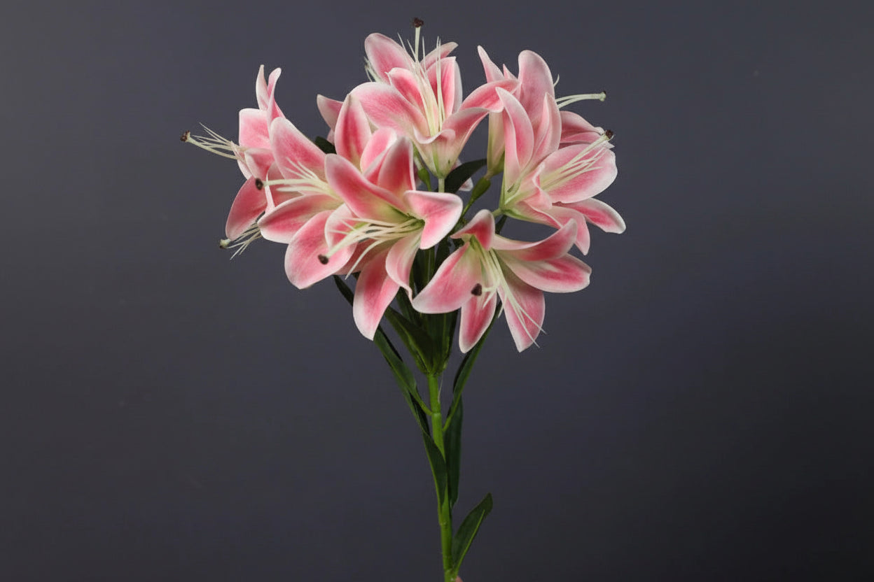 Lilyana Silk Lily Stem – Faux Lily Flower Bouquet with 10 Heads for Tall Vases, Wedding Flowers and Home Décor
