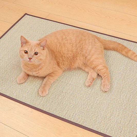 Cat Scratching Mat