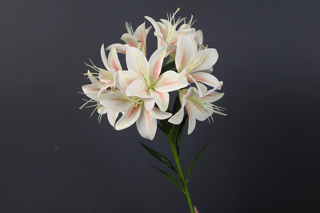 Lilyana Silk Lily Stem – Faux Lily Flower Bouquet with 10 Heads for Tall Vases, Wedding Flowers and Home Décor