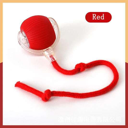 Cat Toy with Rope